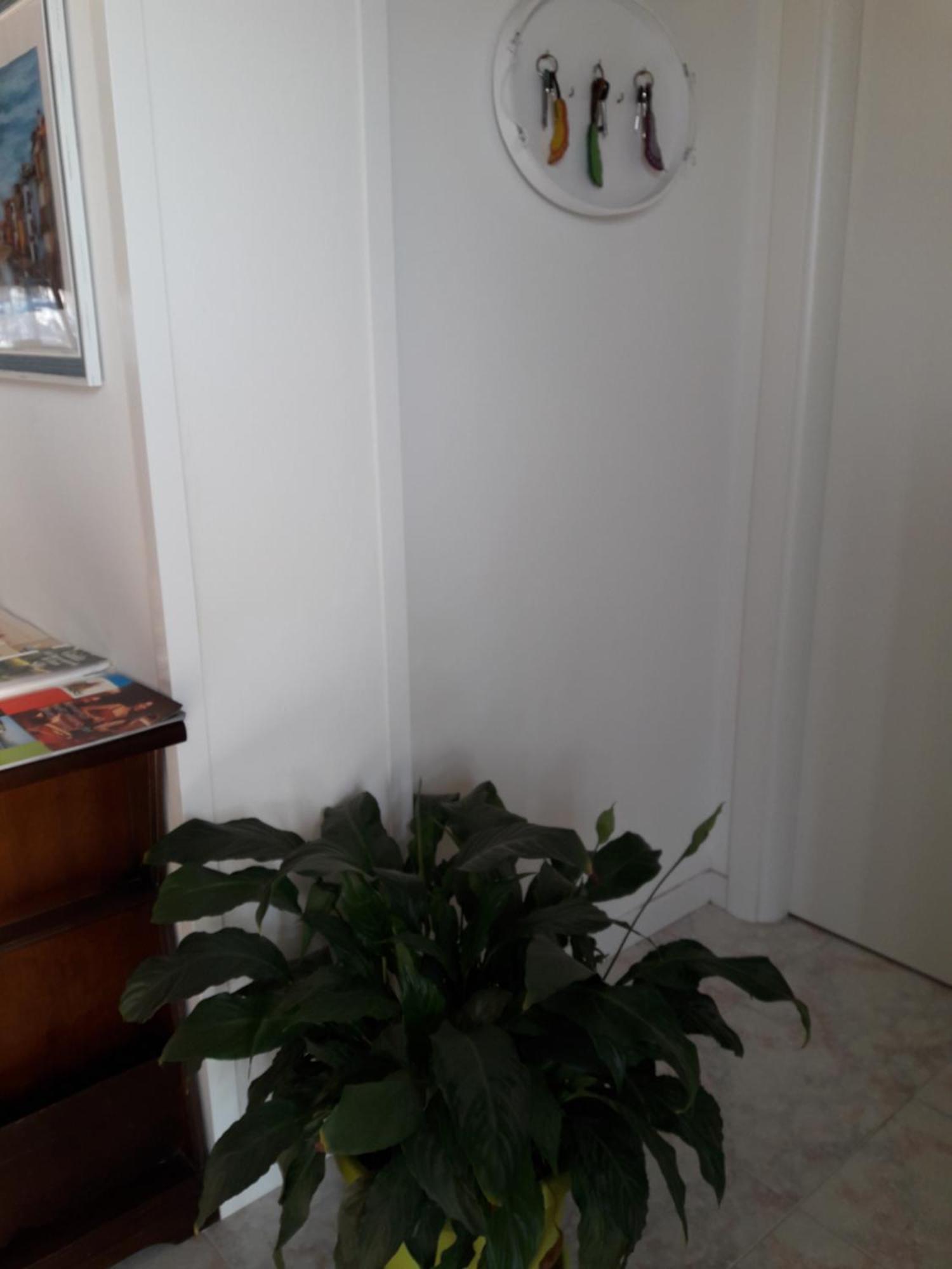 B&B A Un Passo Da Casale sul Sile Bagian luar foto